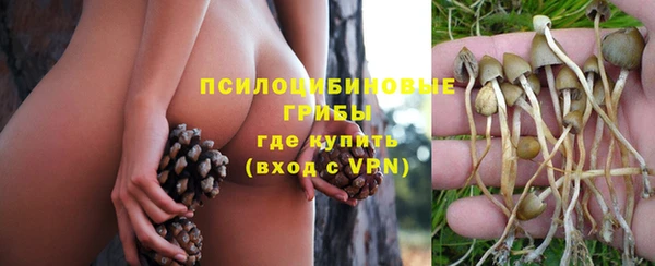 кристаллы Алзамай